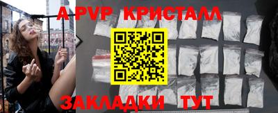 стафф Камышлов