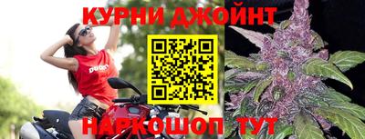 apvp Канаш