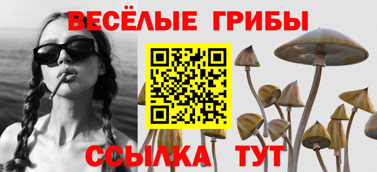 купить наркотики цена  Вход с VPN  Елец  Галлюциногенные грибы ЛСД  Галлюциногенные грибы GOLDEN TEACHER 